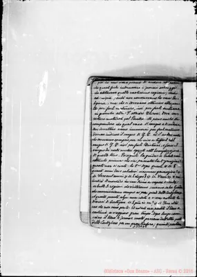 Fotogramma D 5