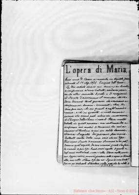 Fotogramma D 11
