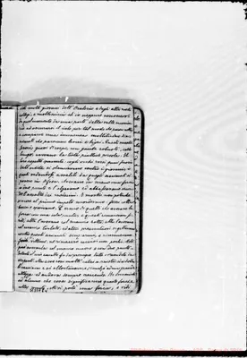 Fotogramma E 4