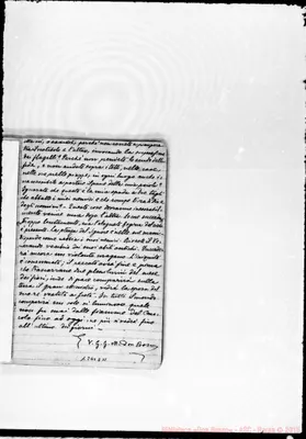 Fotogramma D 11