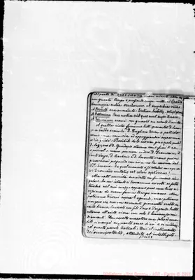 Fotogramma E 8