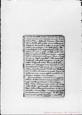 Fotogramma B 2