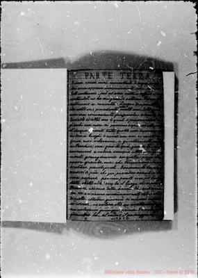 Fotogramma D 2