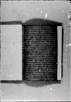 Fotogramma D 4