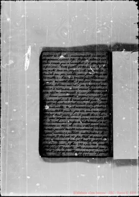 Fotogramma D 5
