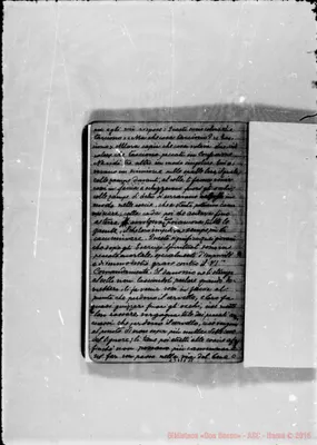 Fotogramma D 11