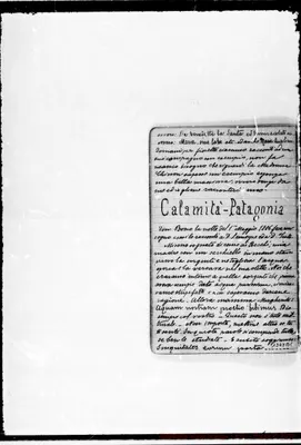 Fotogramma B 1