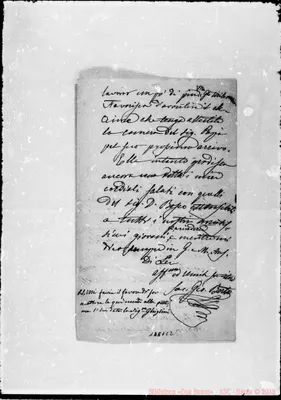 Fotogramma C 2