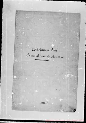 Fotogramma C 5