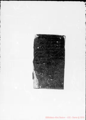 Fotogramma E 12