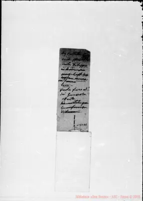 Fotogramma B 1