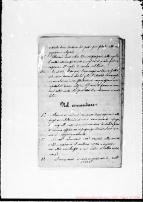 Fotogramma D 5