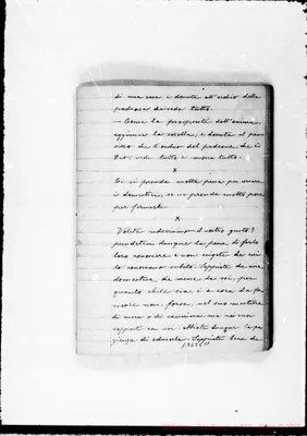 Fotogramma C 11