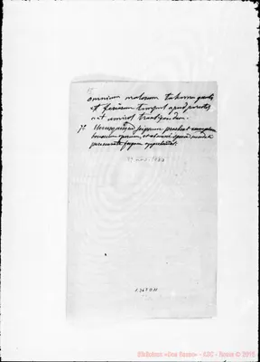 Fotogramma D 11