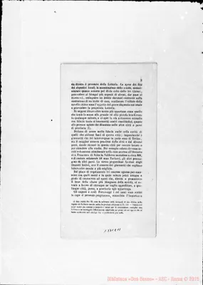 Fotogramma C 11