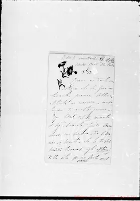 Fotogramma A 1