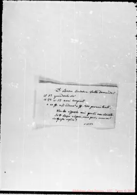 Fotogramma D 6