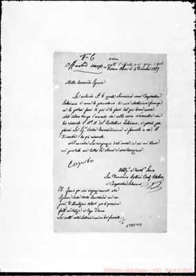 Fotogramma C 11