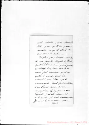 Fotogramma C 11