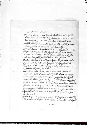 Fotogramma E 8