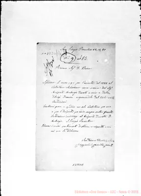Fotogramma D 11