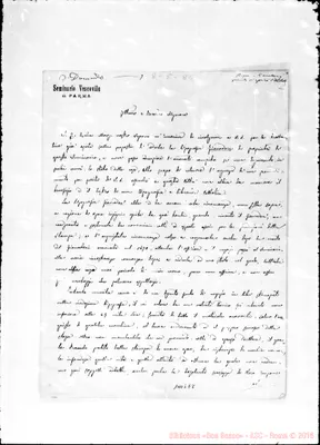 Fotogramma E 8
