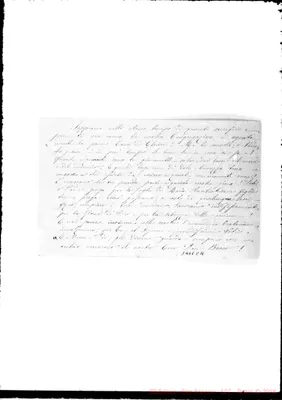 Fotogramma C 11