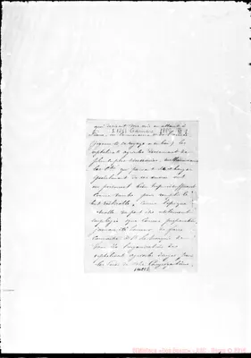 Fotogramma C 5