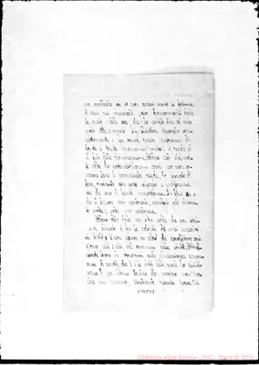 Fotogramma D 9