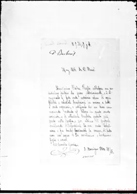 Fotogramma D 11