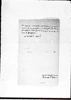 Fotogramma D 11
