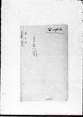 Fotogramma B 3