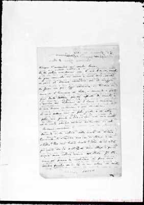 Fotogramma C 11