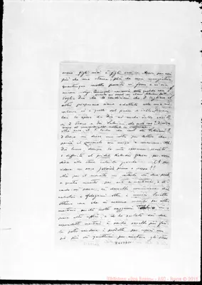Fotogramma D 11