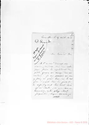 Fotogramma D 11