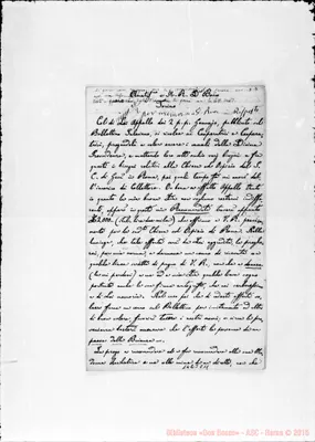 Fotogramma C 11