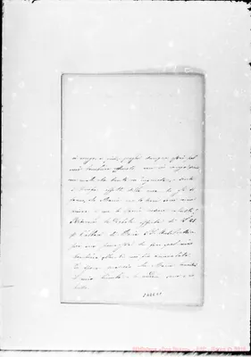 Fotogramma C 1