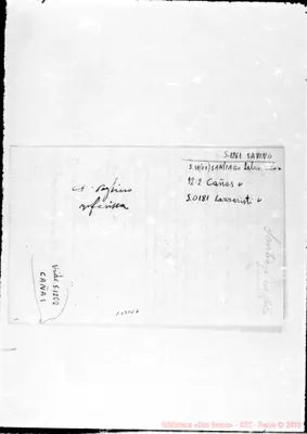 Fotogramma C 7