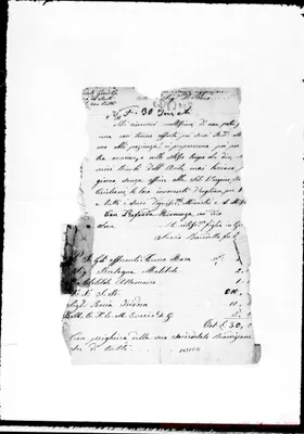 Fotogramma C 11