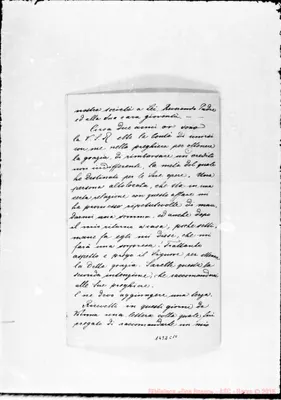 Fotogramma C 10
