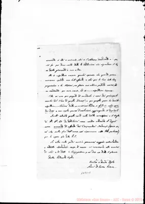 Fotogramma C 8