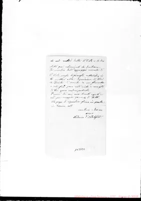 Fotogramma C 11