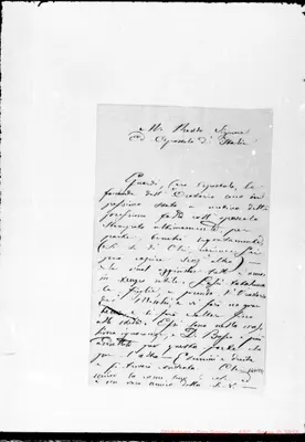 Fotogramma C 11