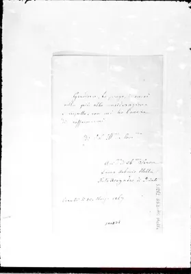 Fotogramma D 8