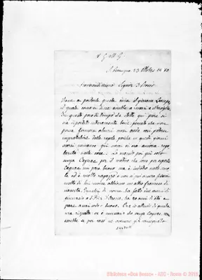 Fotogramma D 11