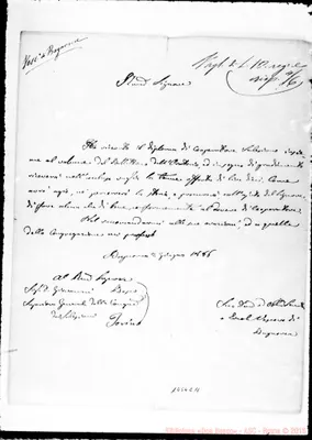 Fotogramma C 11