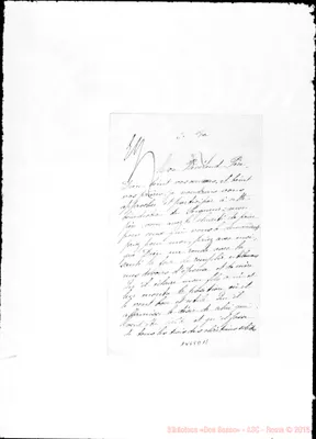 Fotogramma D 11
