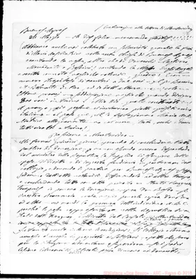 Fotogramma E 7