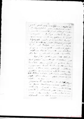 Fotogramma D 11