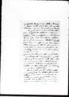 Fotogramma D 11